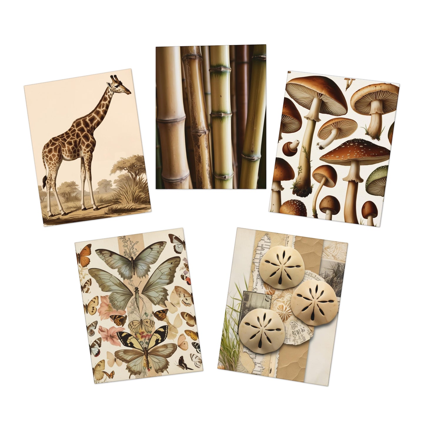 nature neutrals Greeting Cards (5-Pack)