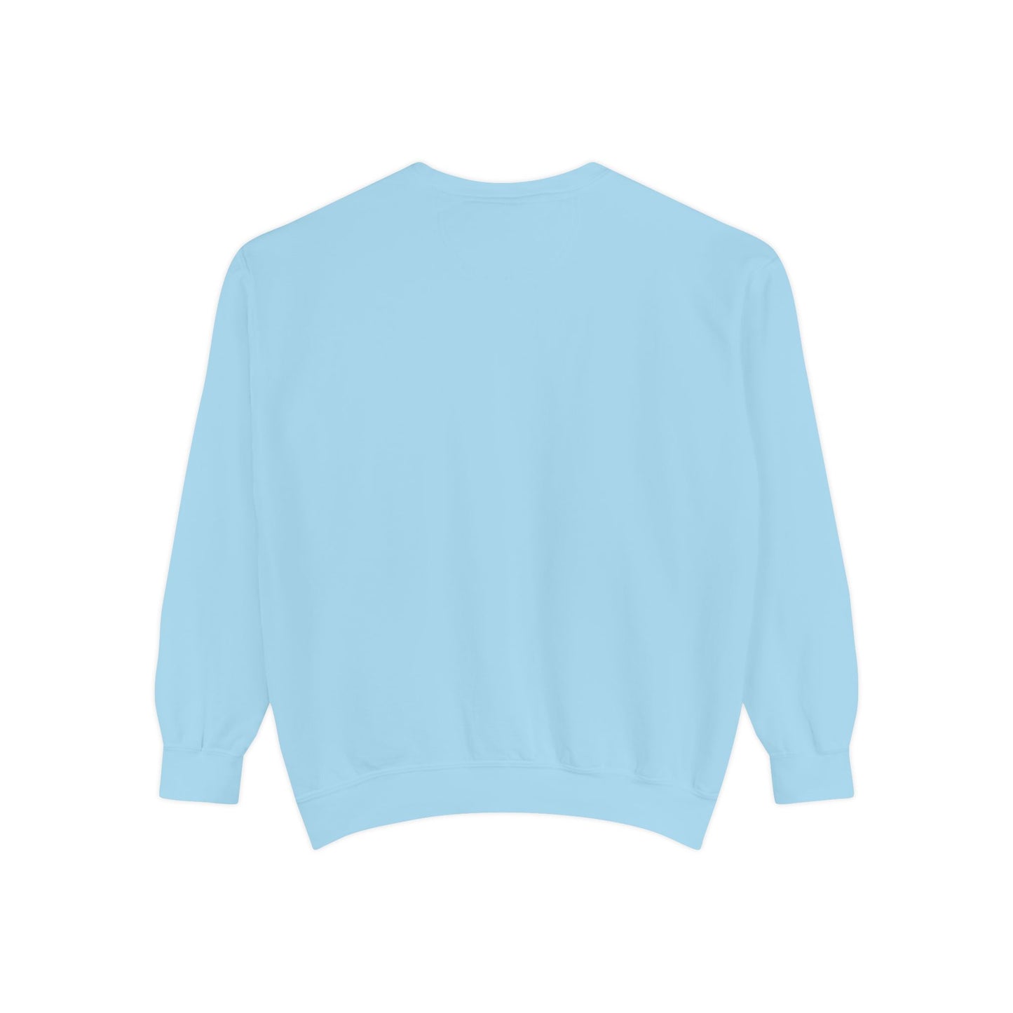 Sass Wear crew neck sweatshirt
