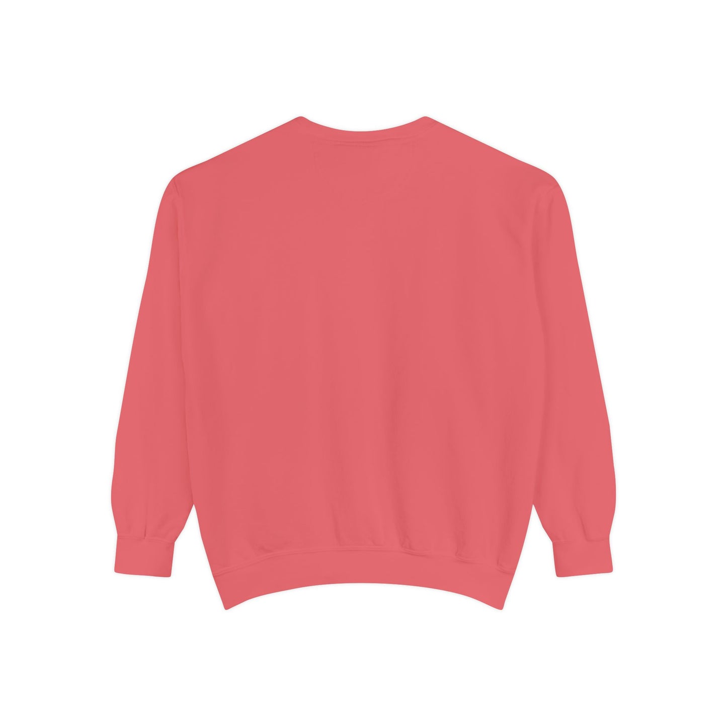 Sass Wear crew neck sweatshirt
