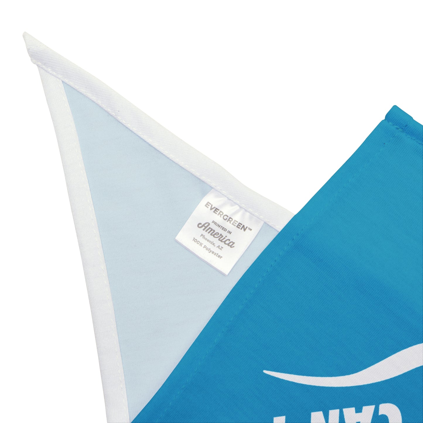 turquoise I just can't Pet Bandana