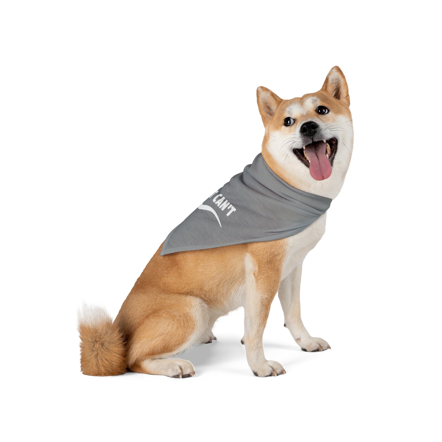 Grey I just can't Pet Bandana